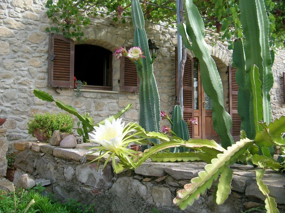 Bed and Breakfast Sa Domu De Sa Contissa Selegas Экстерьер фото